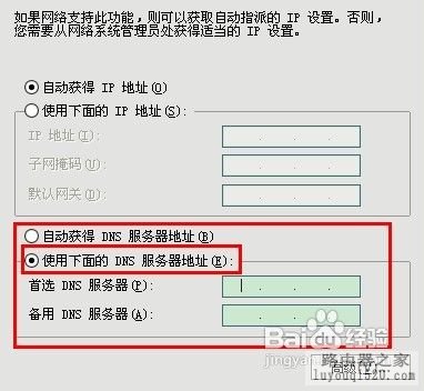 路由器dns怎么设置