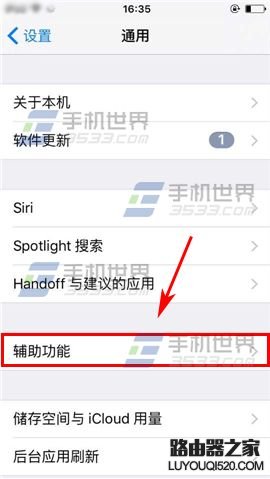 苹果iPhone6sPlus如何设置切换控制