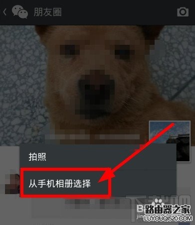 微信怎么转发别人朋友圈里的东西(文章,图片)