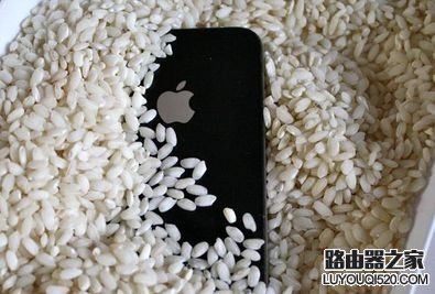 iphone6s掉水里怎么办?iphone6s掉入水中的处理方法