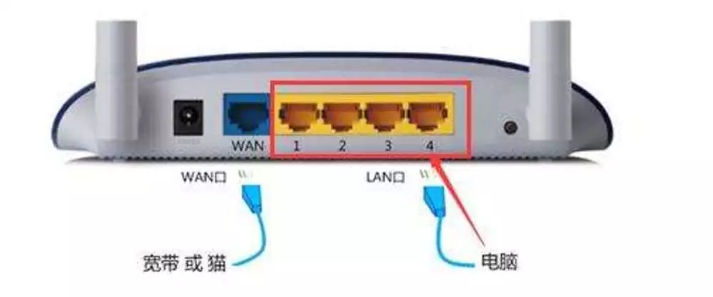 详细为你介绍猫的作用和接法