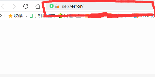 360浏览器输入网址显示se://error/错误